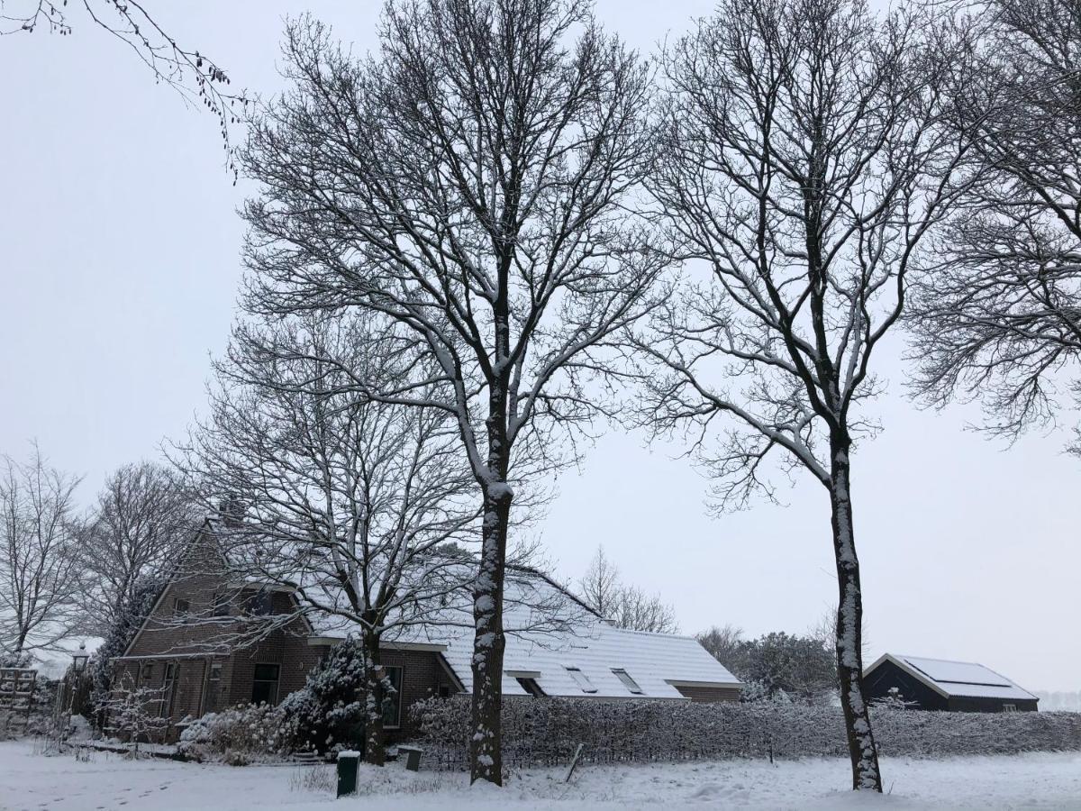 Bed & Breakfast Ter Borg Sellingen Eksteriør billede